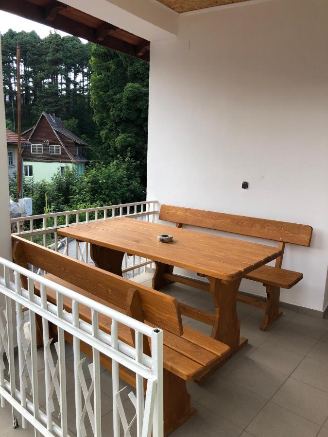 סרניצה Family Hotel Panorama מראה חיצוני תמונה