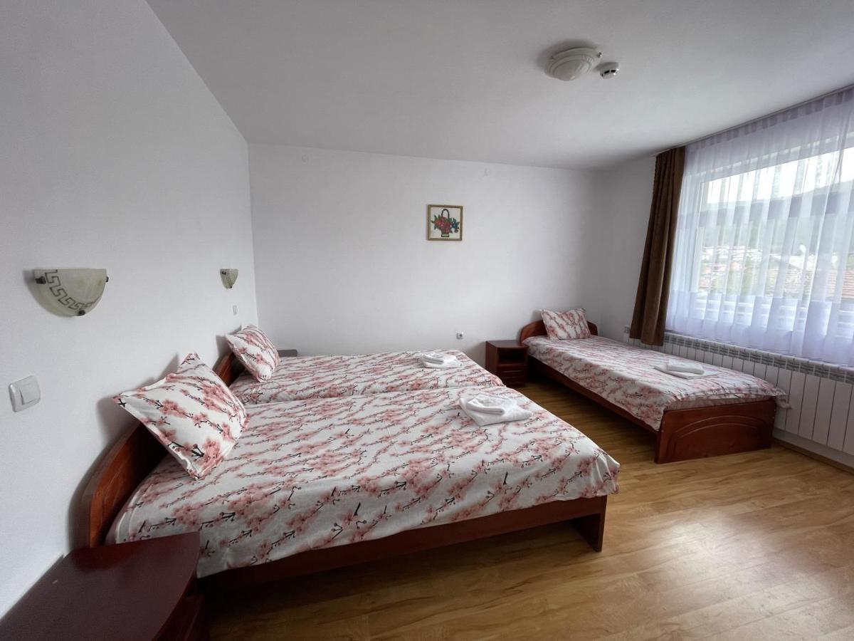 סרניצה Family Hotel Panorama מראה חיצוני תמונה
