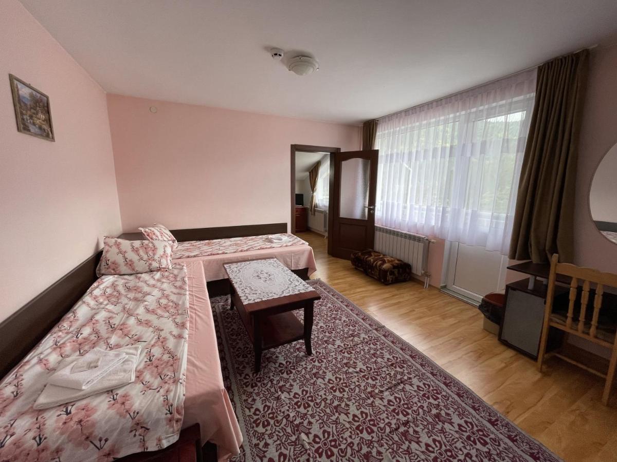סרניצה Family Hotel Panorama מראה חיצוני תמונה